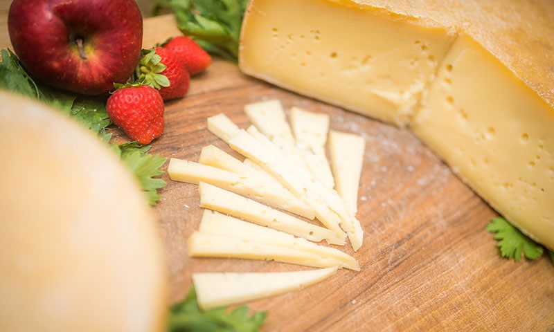 Degustazione formaggi Trentino Alto Adige
